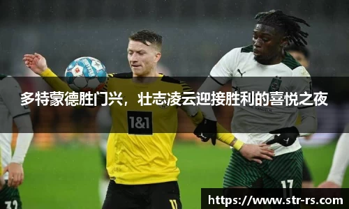 多特蒙德胜门兴，壮志凌云迎接胜利的喜悦之夜
